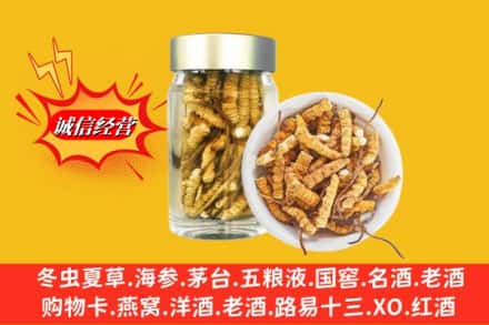坊子区回收散虫草